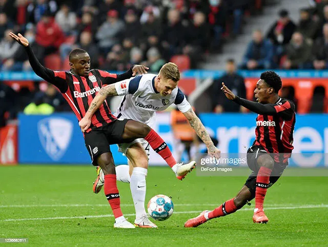 behavioraltherapist.io